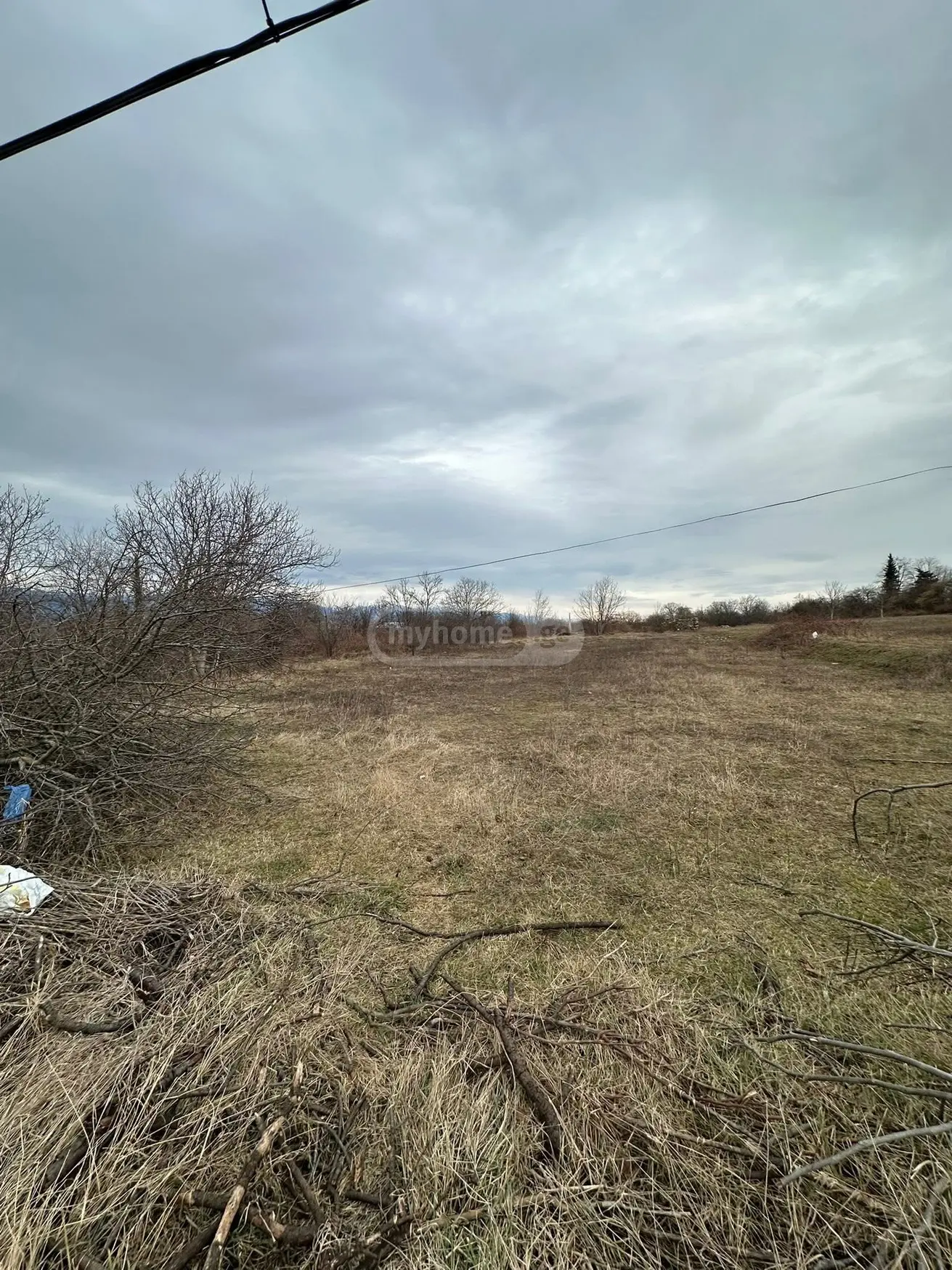 Продажа Agricultural Plot в In Telavi view 5