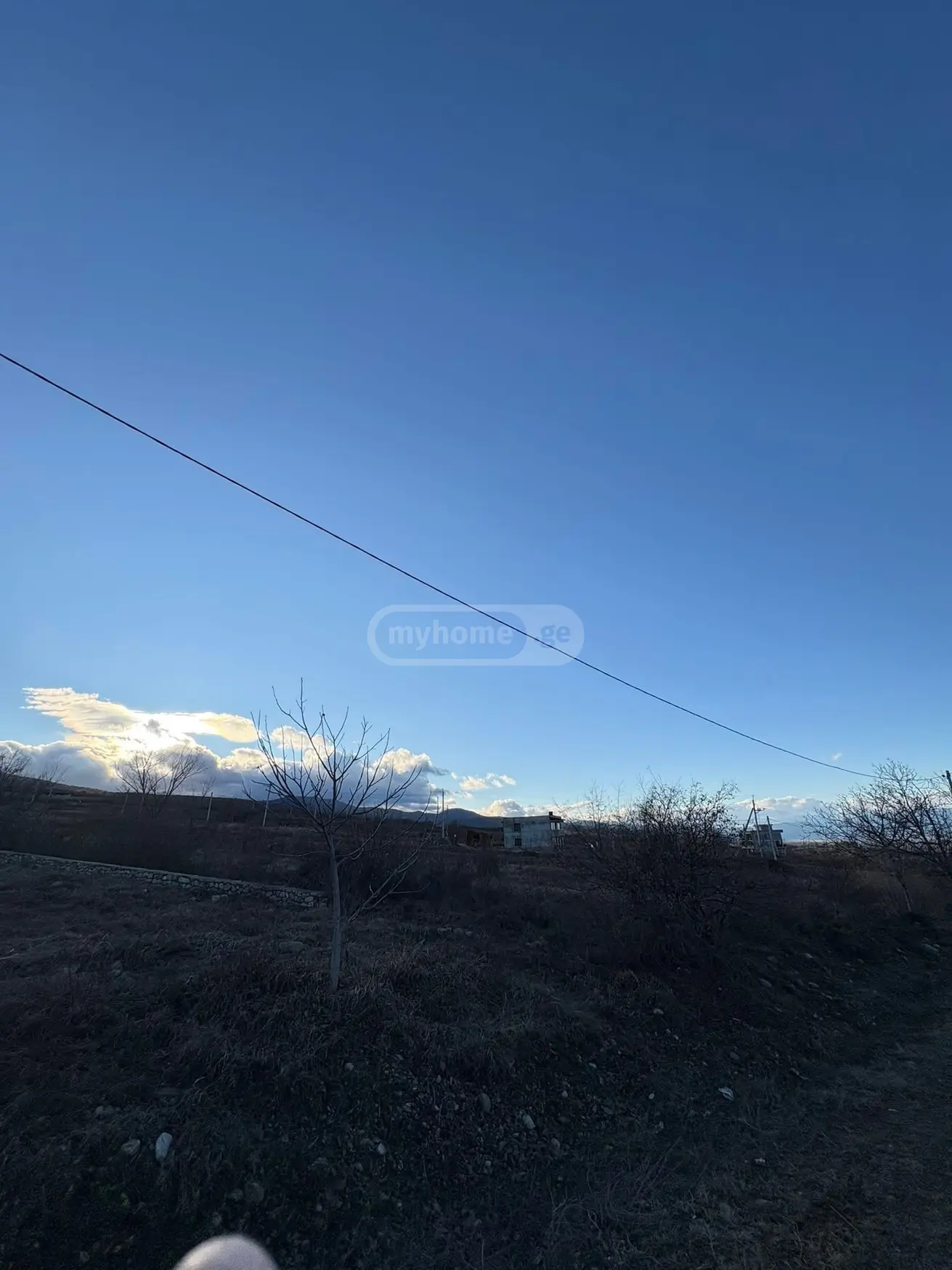 Agricultural Plot For Sale In Telavi view 3