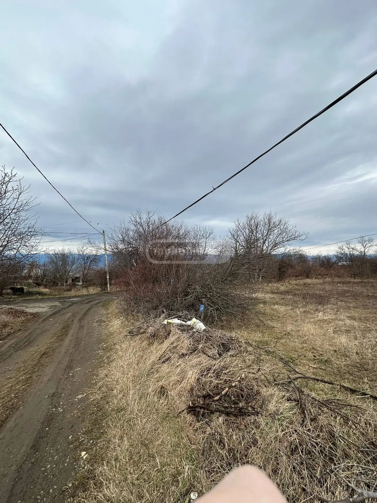 Продажа Agricultural Plot в In Telavi view 1