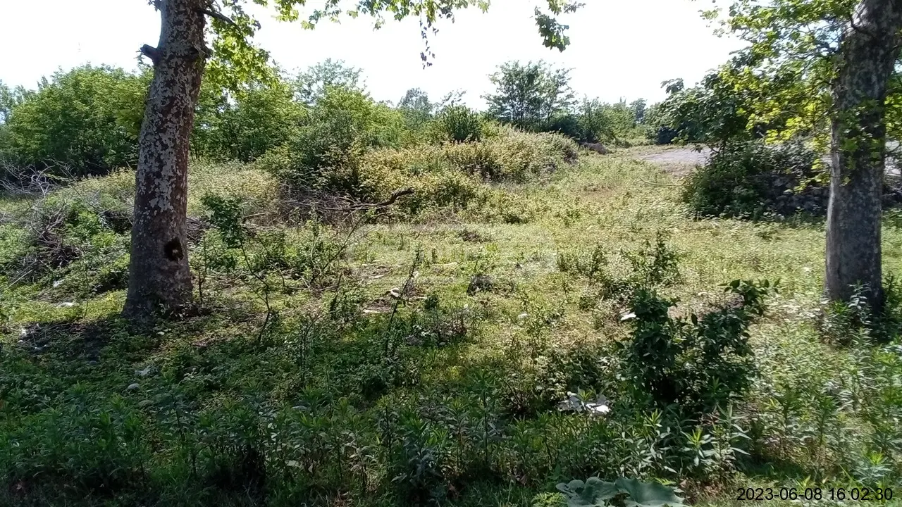 Agricultural Plot For Sale In Foti view 3