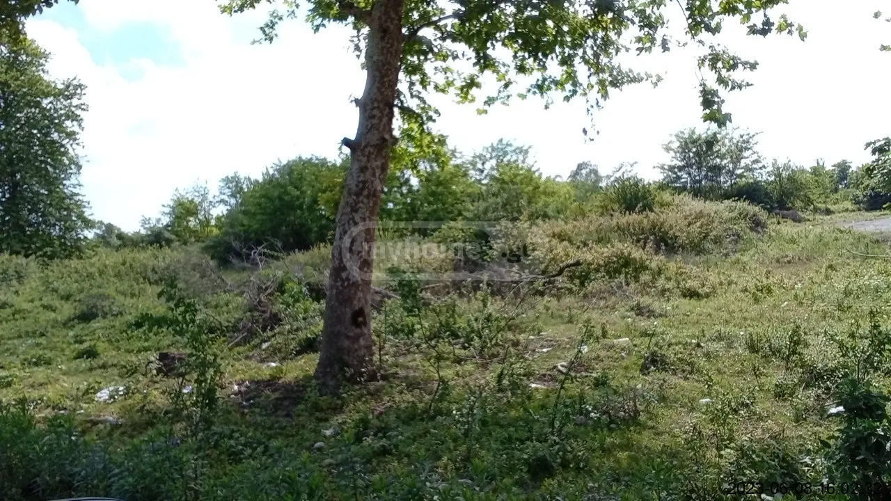 Agricultural Plot For Sale In Foti view 1