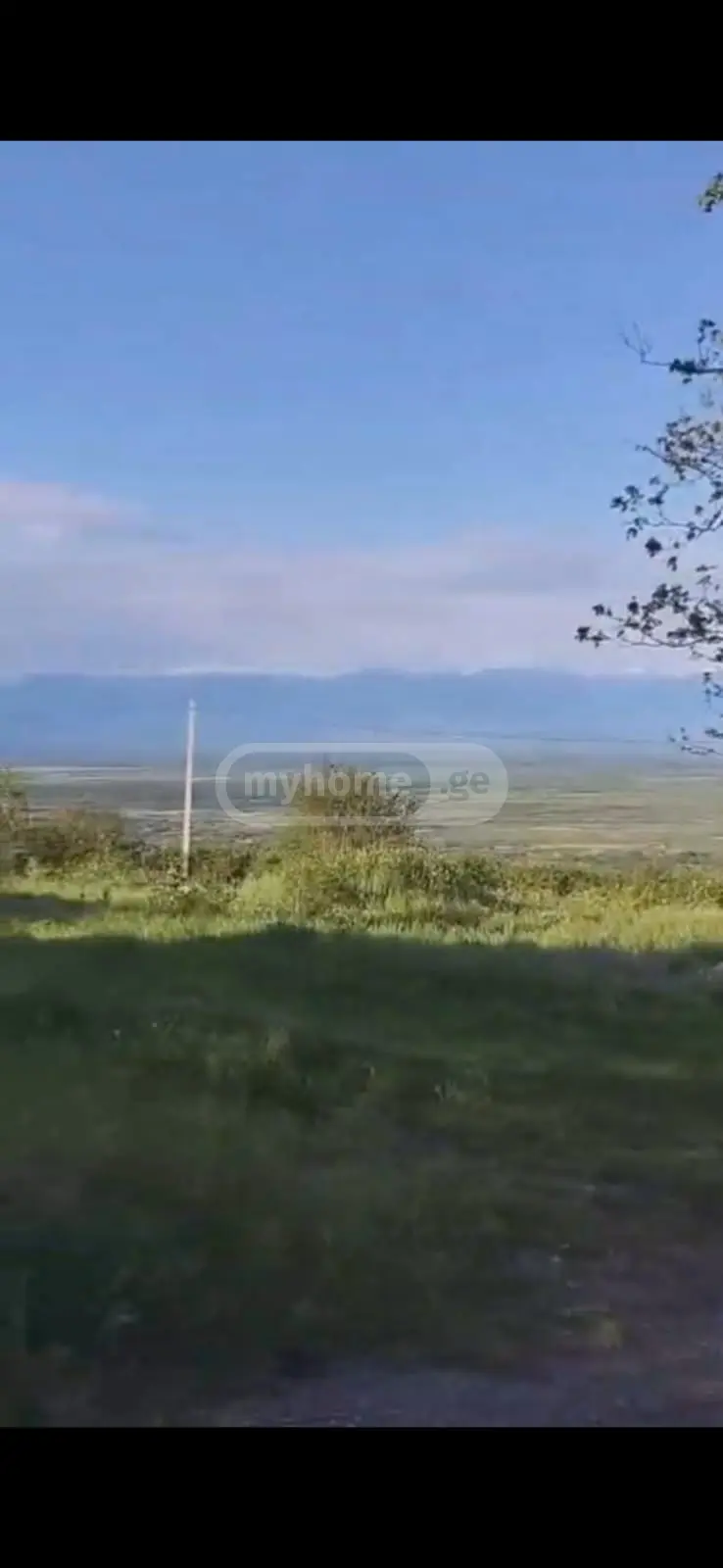 Agricultural Plot For Sale In Signagi view 1
