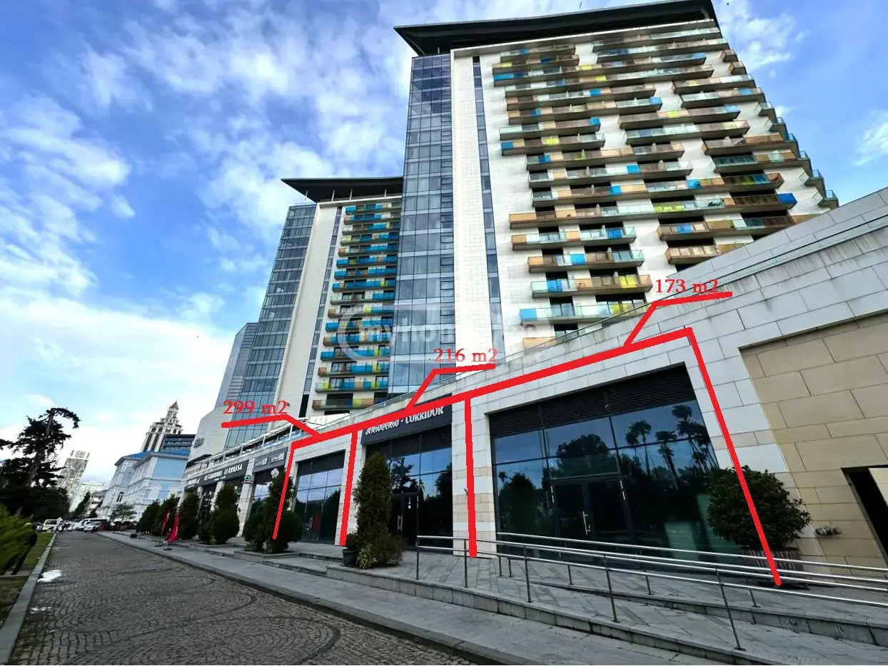 Universal Commercial Area For Rent In Old Batumi District, In Batumi view 1