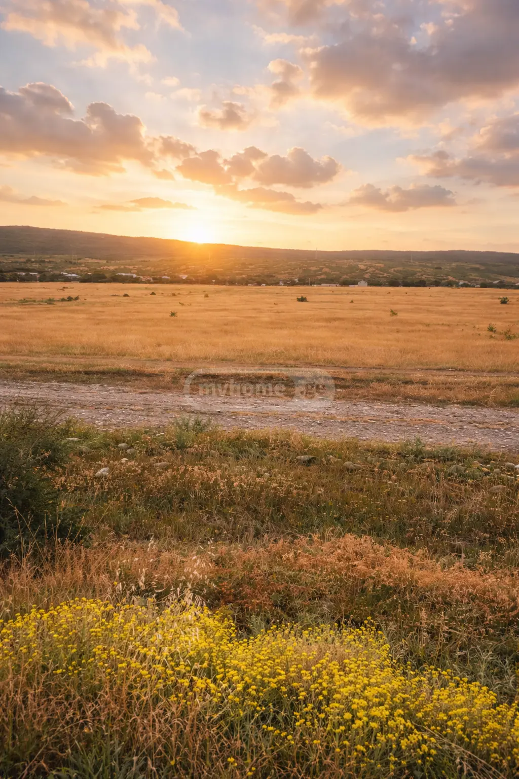 Agricultural Plot For Sale In Mtskheta view 2