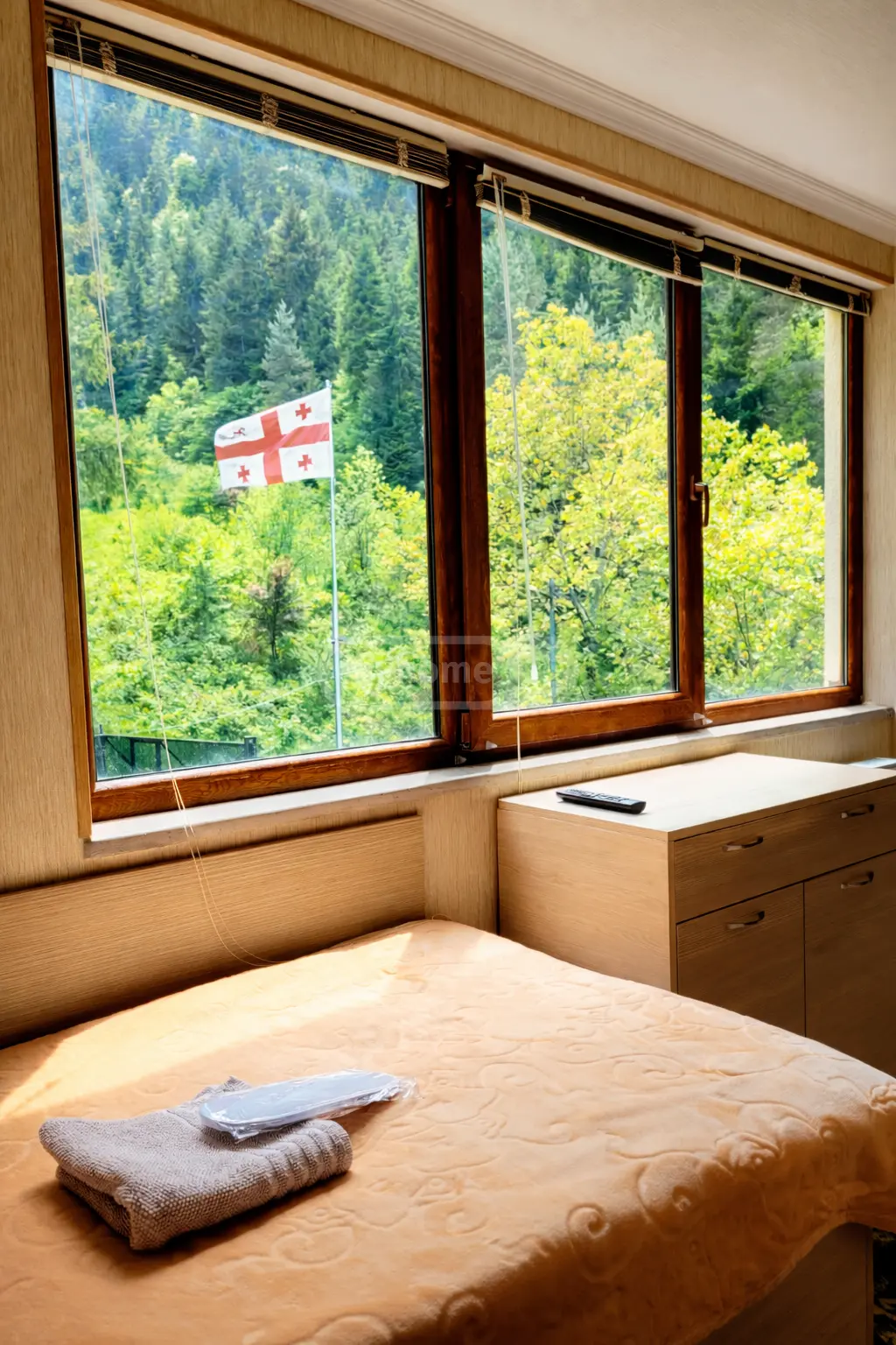 10+ Room Hotel Daily Rent In Borjomi view 10