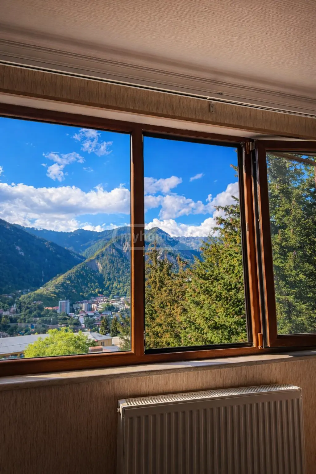 10+ Room Hotel Daily Rent In Borjomi view 2