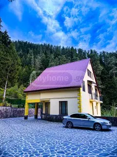 10+ Room Hotel Daily Rent In Borjomi view 9