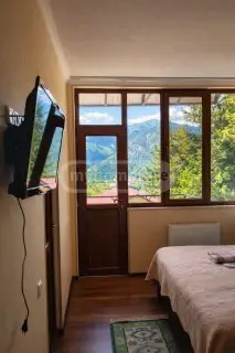 10+ Room Hotel Daily Rent In Borjomi view 11