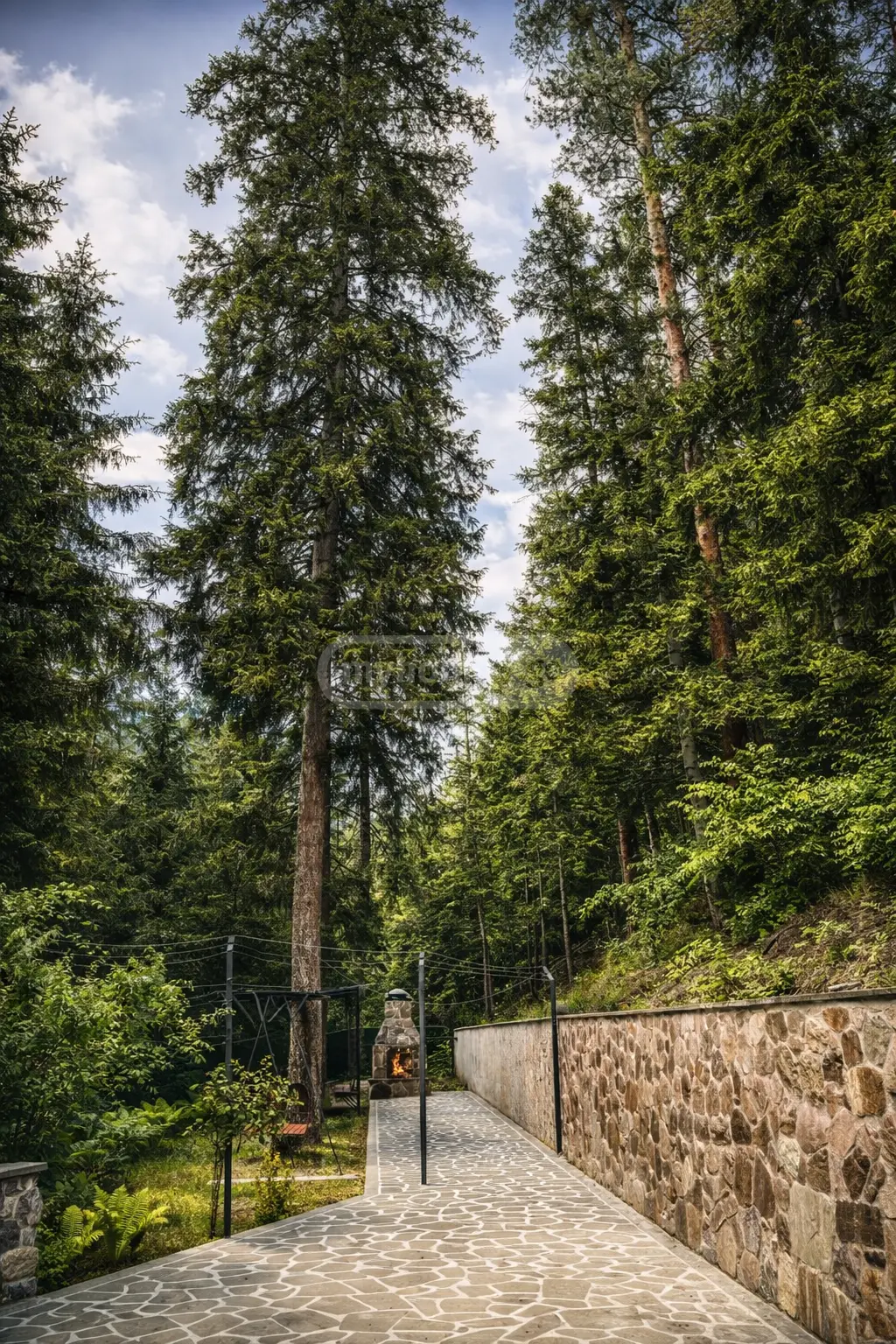 10+ Room Hotel Daily Rent In Borjomi view 8