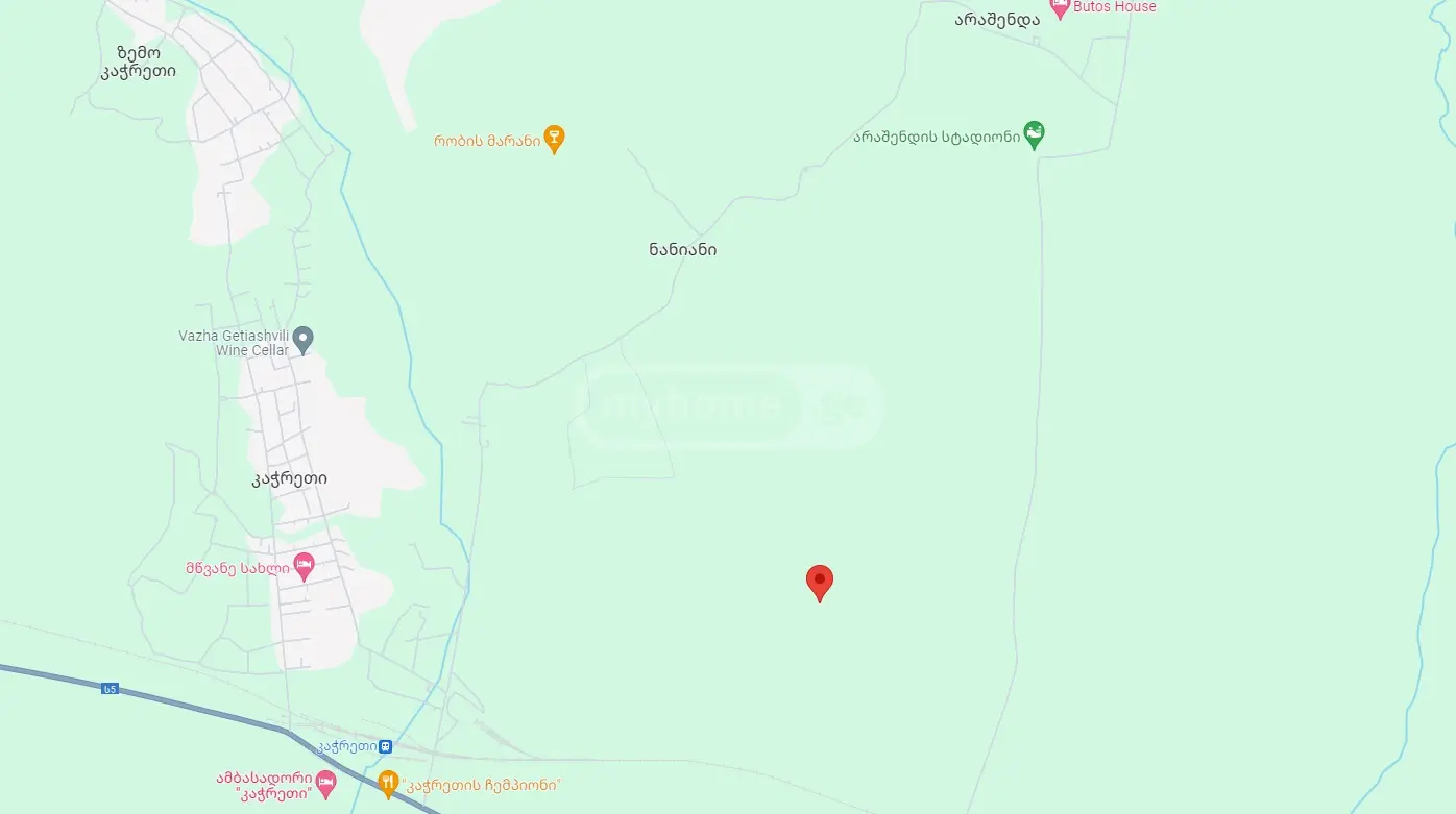 Agricultural Plot For Sale In Naniani, In Gurjaani Municipality view 6