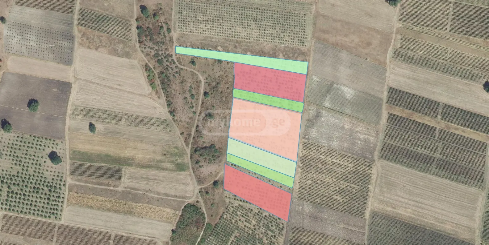Agricultural Plot For Sale In Naniani, In Gurjaani Municipality view 5