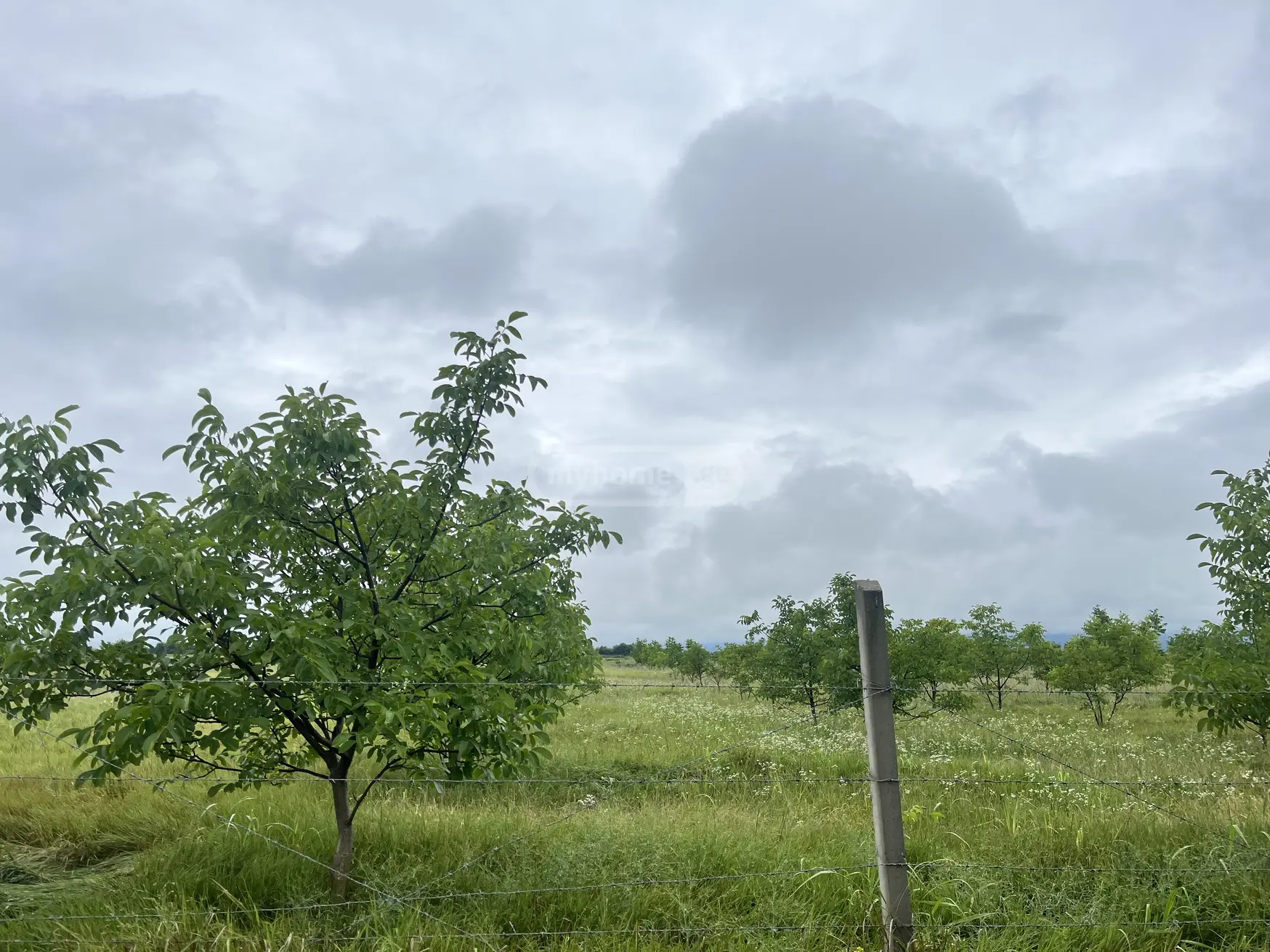 Agricultural Plot For Sale In Akhmeta view 2