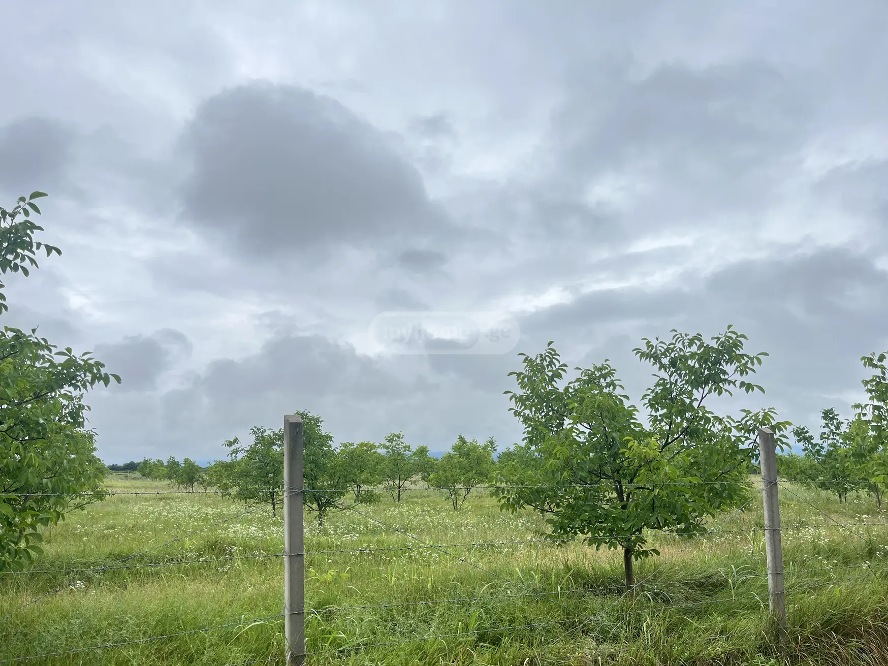 Agricultural Plot For Sale In Akhmeta view 1