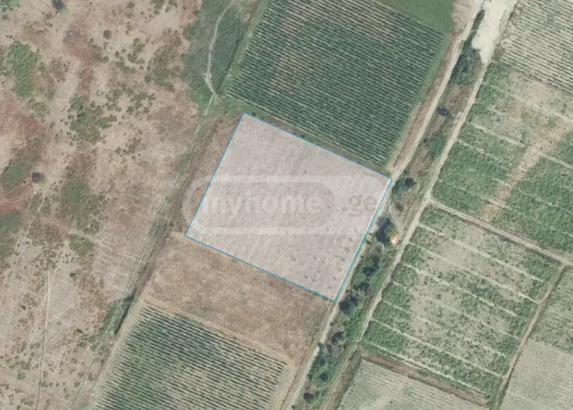 Agricultural Plot For Sale In Akhmeta view 5