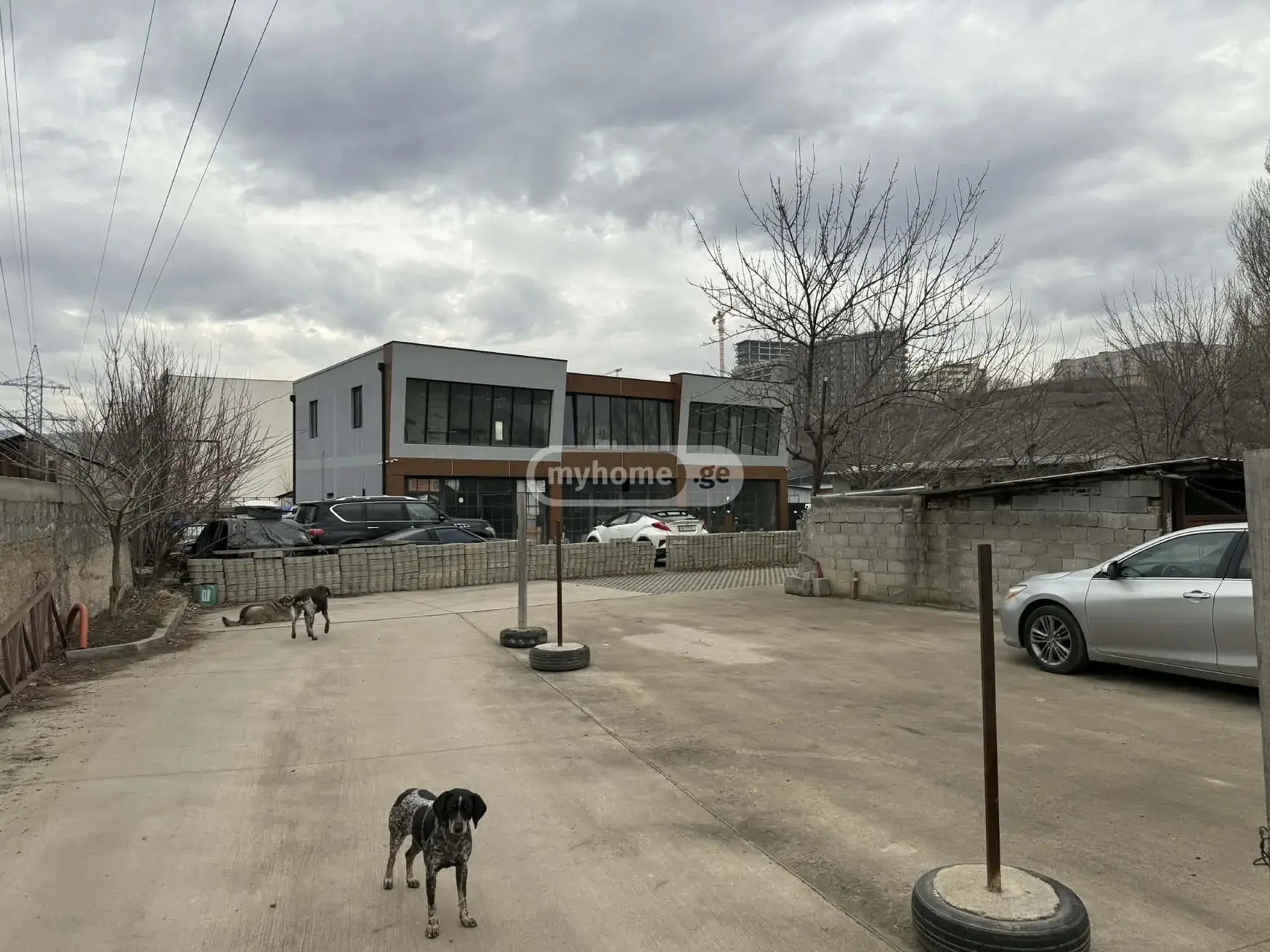 Full Building Commercial Area For Rent In Digomi view 3