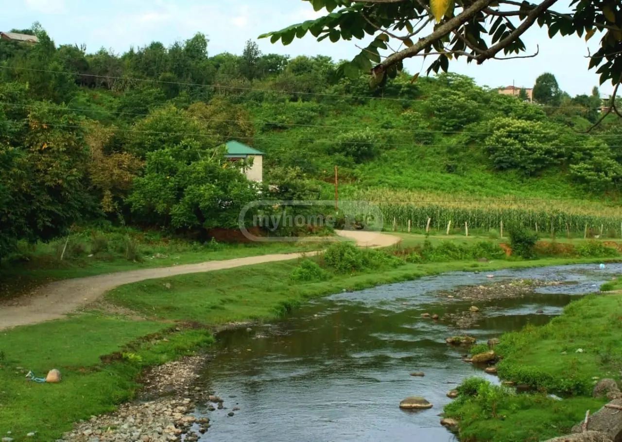 3 Room Private House For Sale view 4