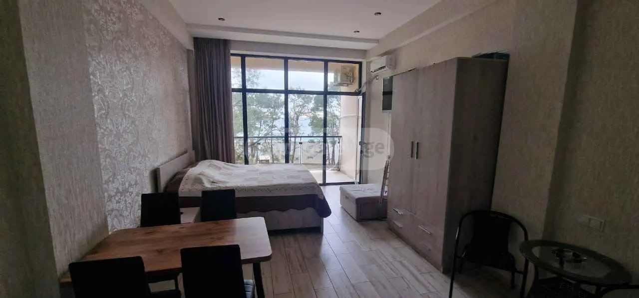 1 Room Apartment For Sale view 2