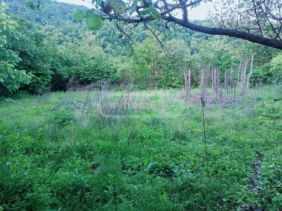Non-Agricultural Plot For Sale view 2