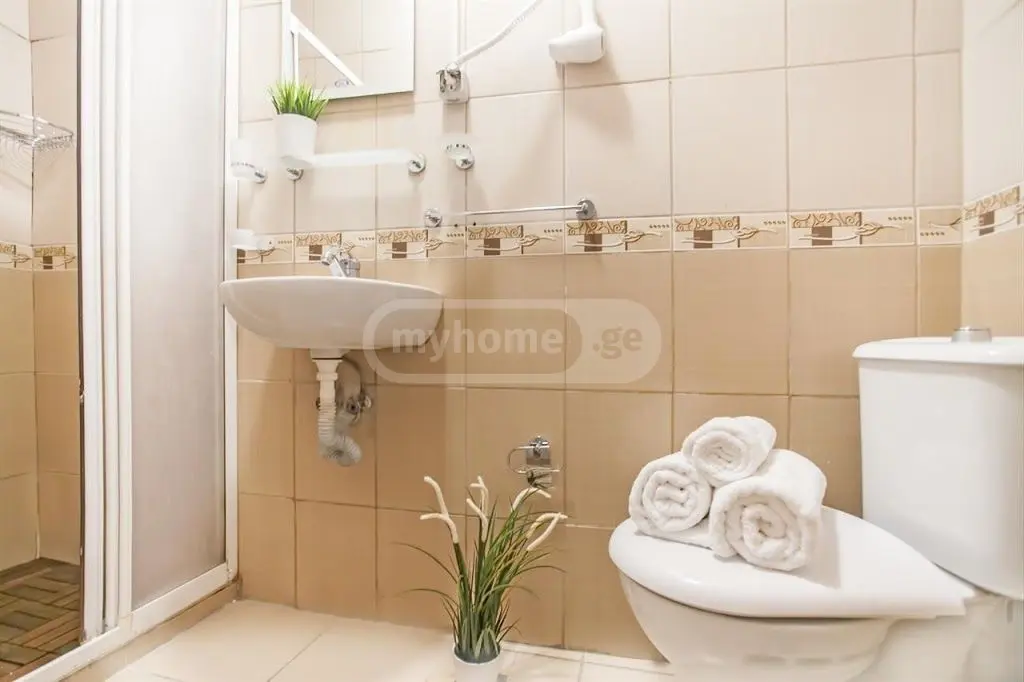 1 Room Apartment Daily Rent Khimshiashvilis Ubani, In Batumi view 6