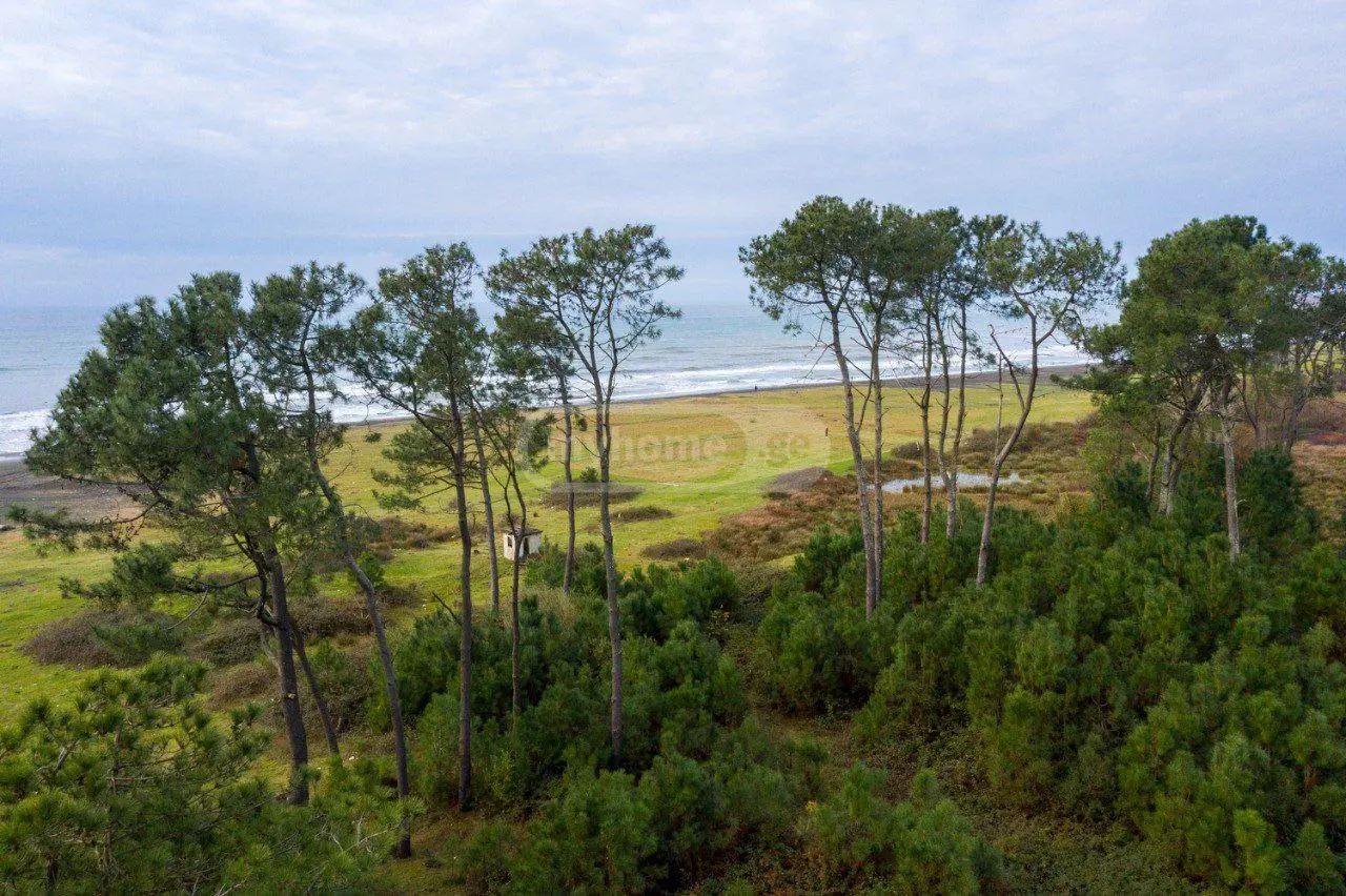 Non-Agricultural Plot For Sale In Ureki, In Ozurgeti Municipality view 8