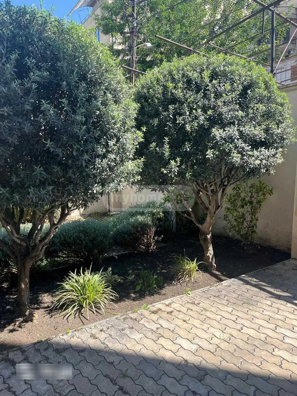 10+ Room Private House For Rent In Vera view 2