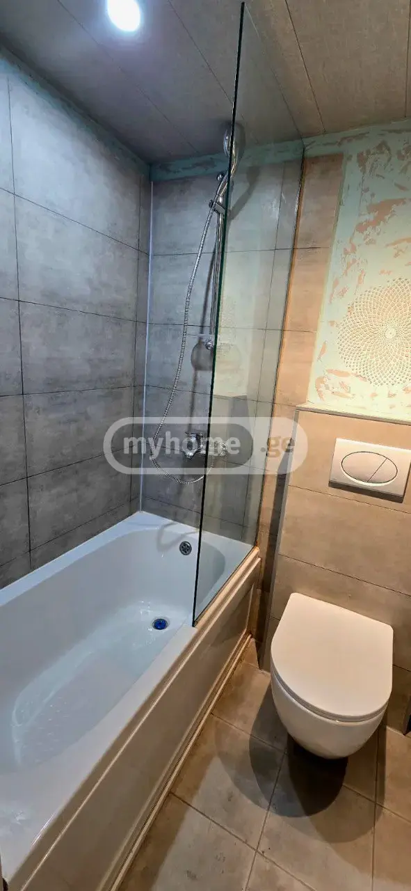 10+ Room Hotel For Rent In Krtsanisi view 12