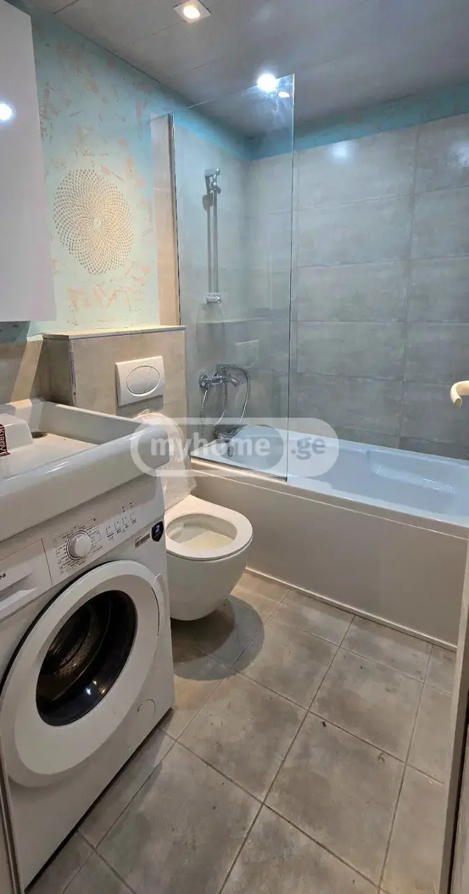 10+ Room Hotel For Rent In Krtsanisi view 11