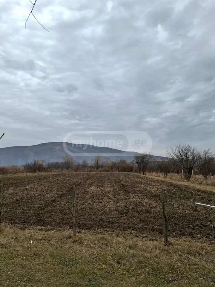 Agricultural Plot For Sale view 4