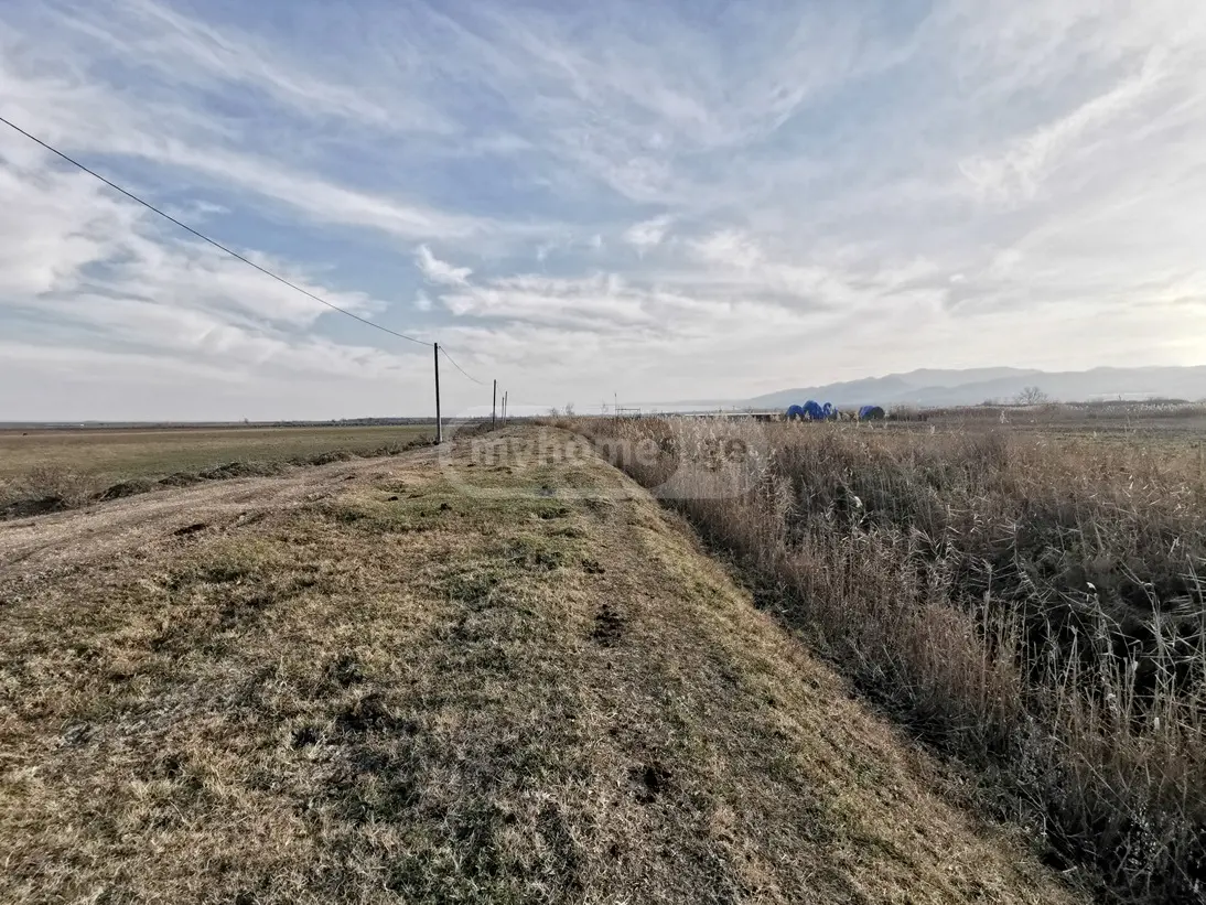 Agricultural Plot For Sale In Signagi view 3