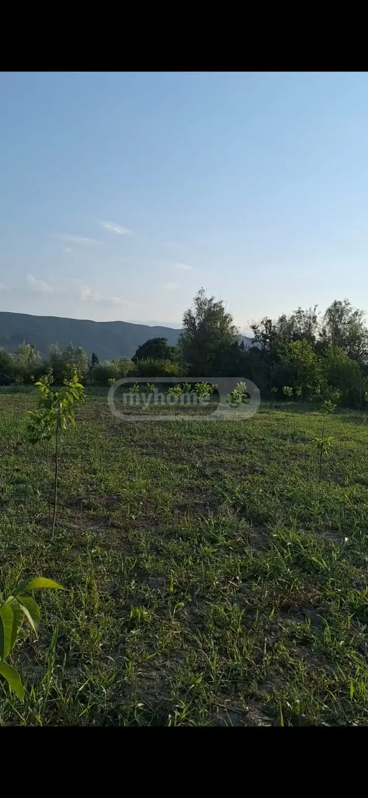 Agricultural Plot For Sale view 8
