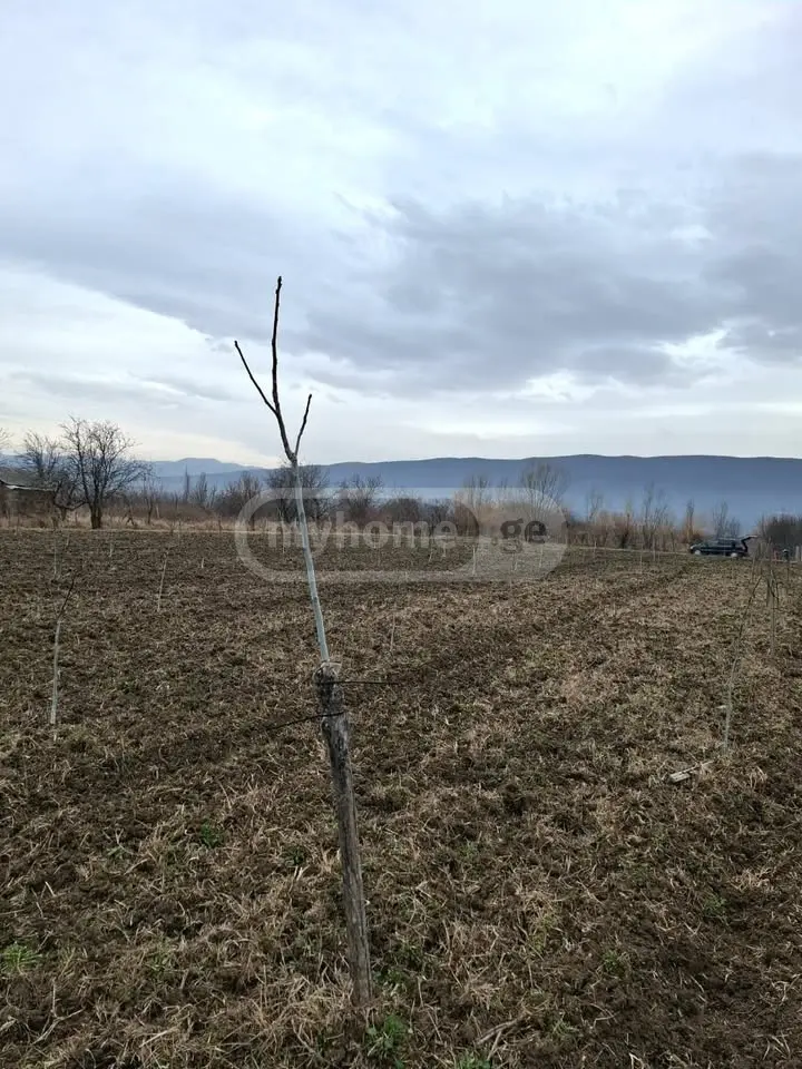 Agricultural Plot For Sale view 7
