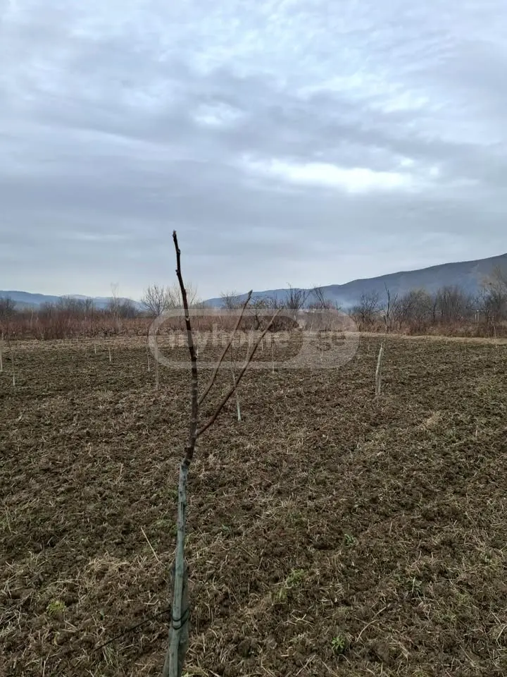 Agricultural Plot For Sale view 1