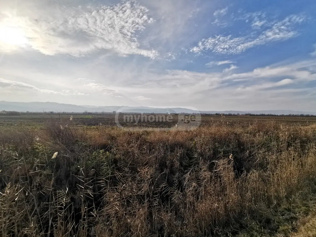 Agricultural Plot For Sale In Signagi view 1