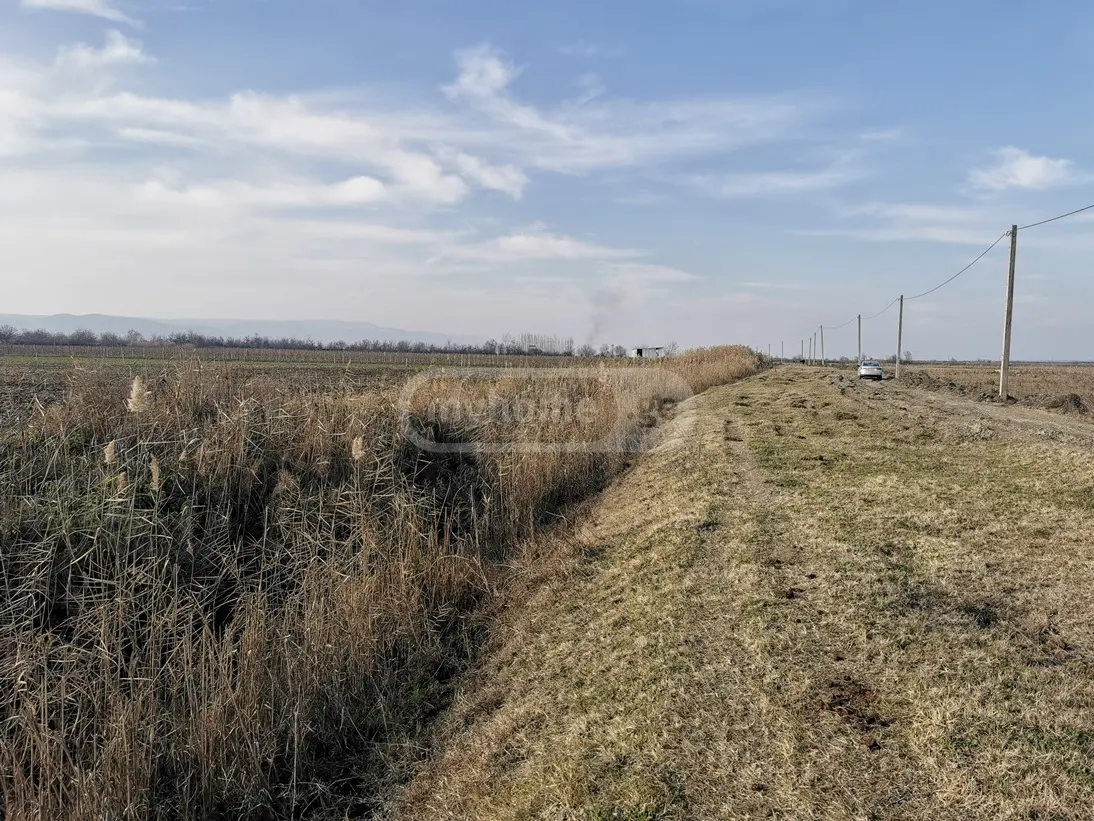 Agricultural Plot For Sale In Signagi view 4