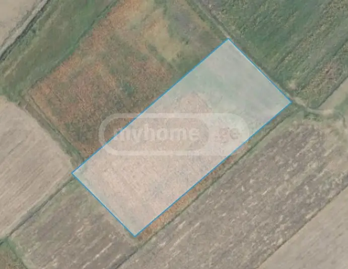 Agricultural Plot For Sale In Signagi view 5