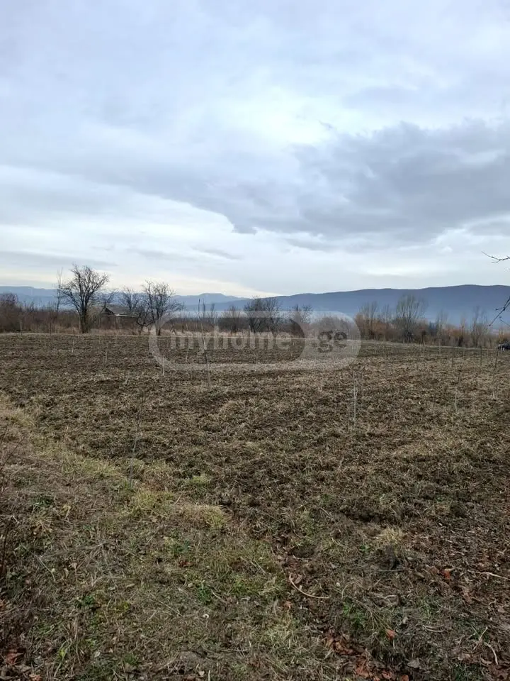 Agricultural Plot For Sale view 3