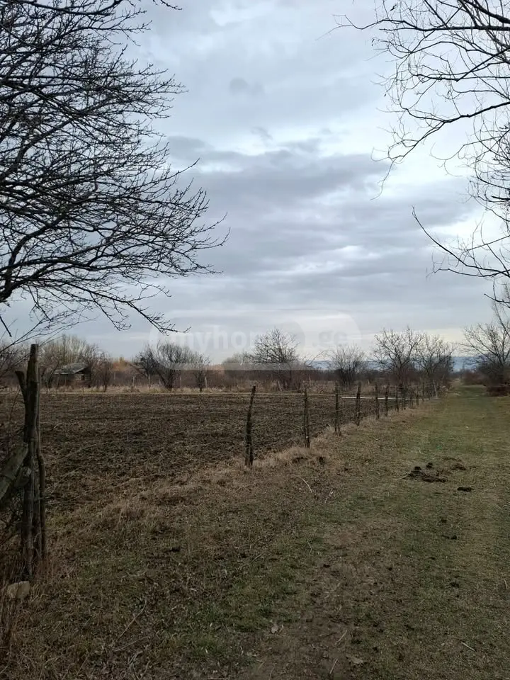 Agricultural Plot For Sale view 5