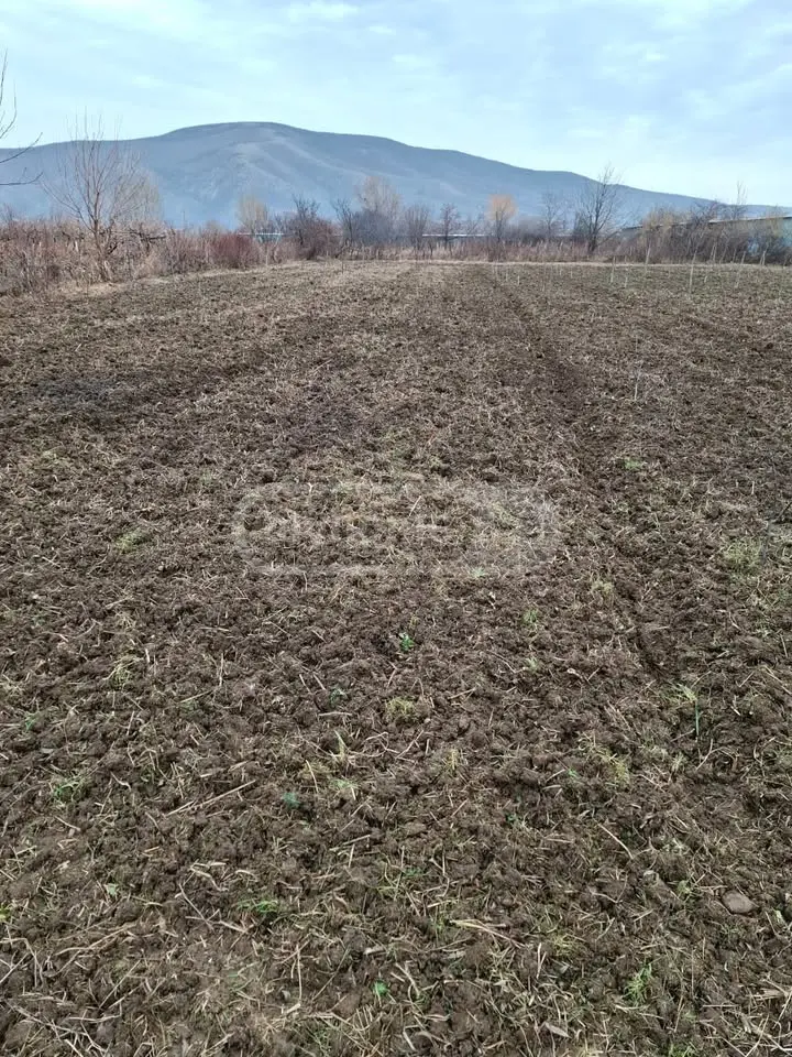Agricultural Plot For Sale view 14