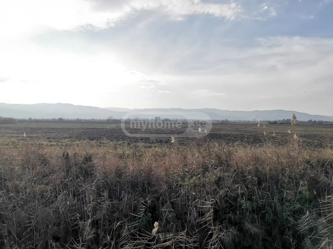 Agricultural Plot For Sale In Signagi view 2