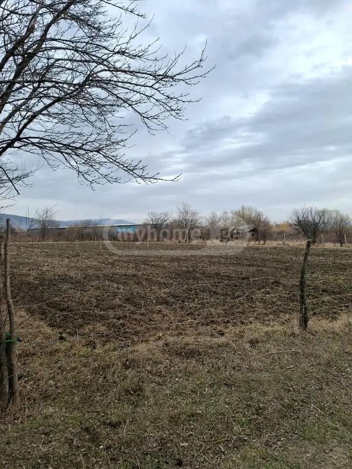 Agricultural Plot For Sale view 10