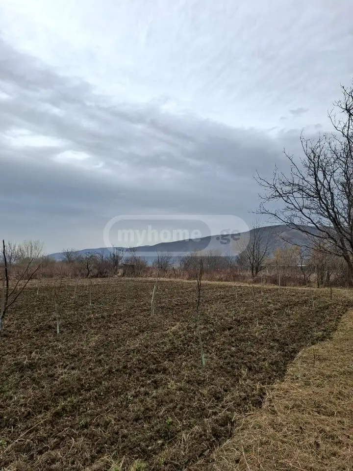Agricultural Plot For Sale view 9