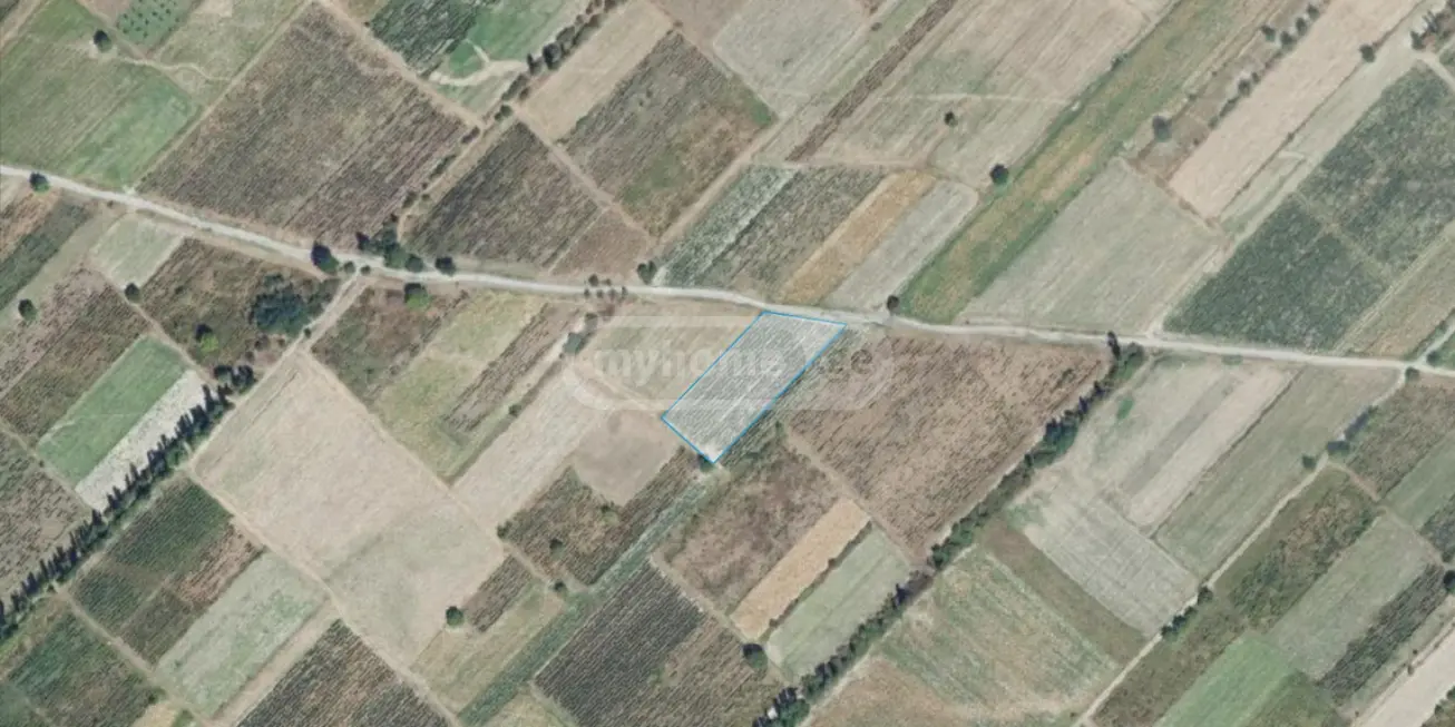 Agricultural Plot For Sale In Akhmeta view 5