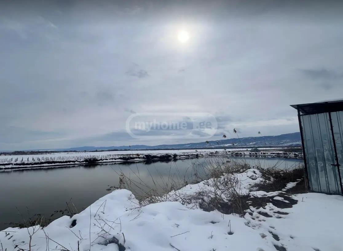 Agricultural Plot For Sale In Signagi view 3