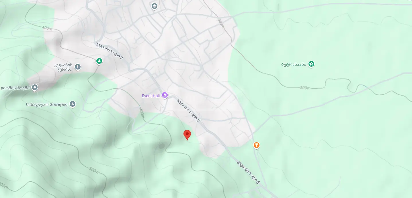 Agricultural Plot For Sale In Signagi view 3