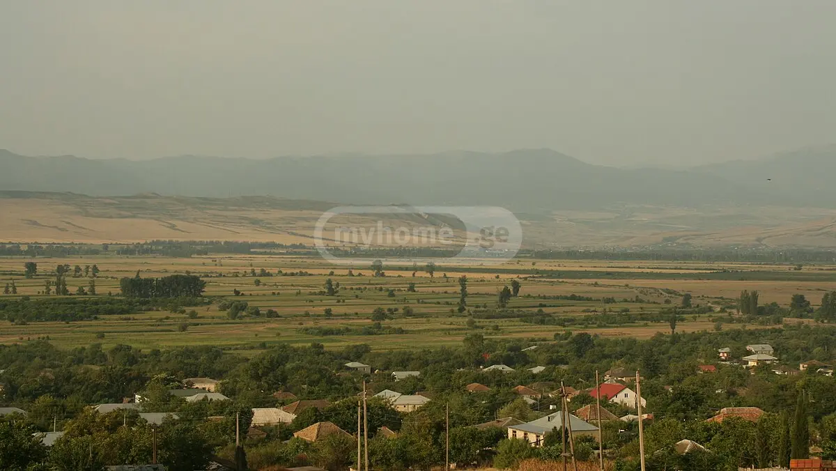 Agricultural Plot For Sale In Tsilkani, In Mtskheta Municipality view 1