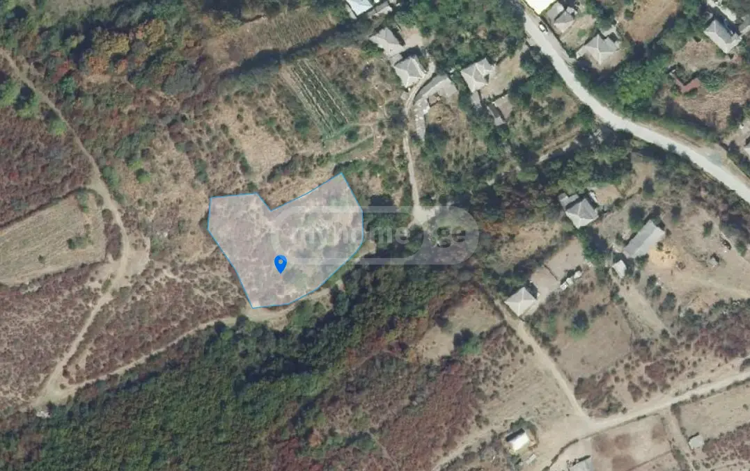 Agricultural Plot For Sale In Signagi view 2