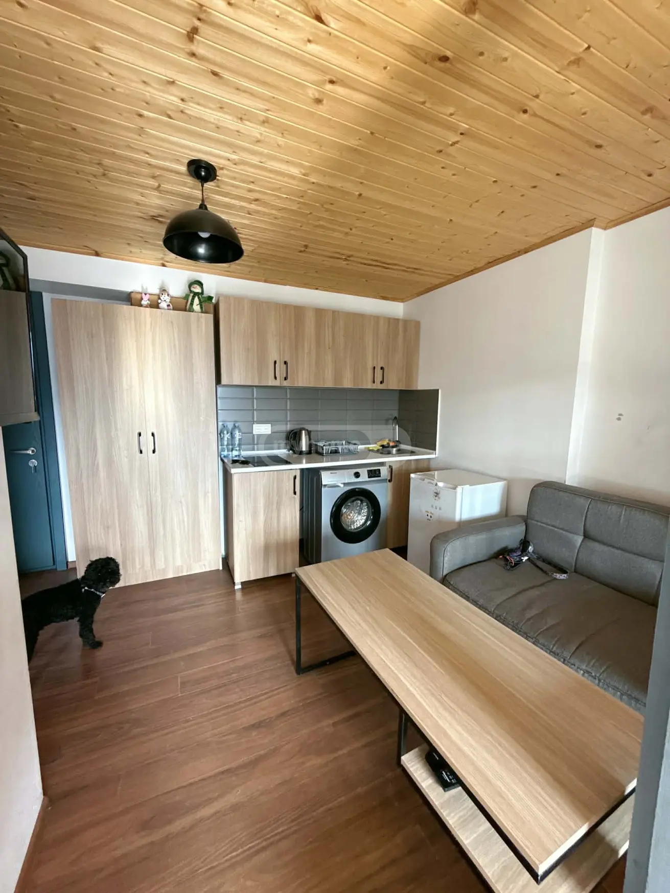 2 Room Hotel Daily Rent In Bakuriani view 5