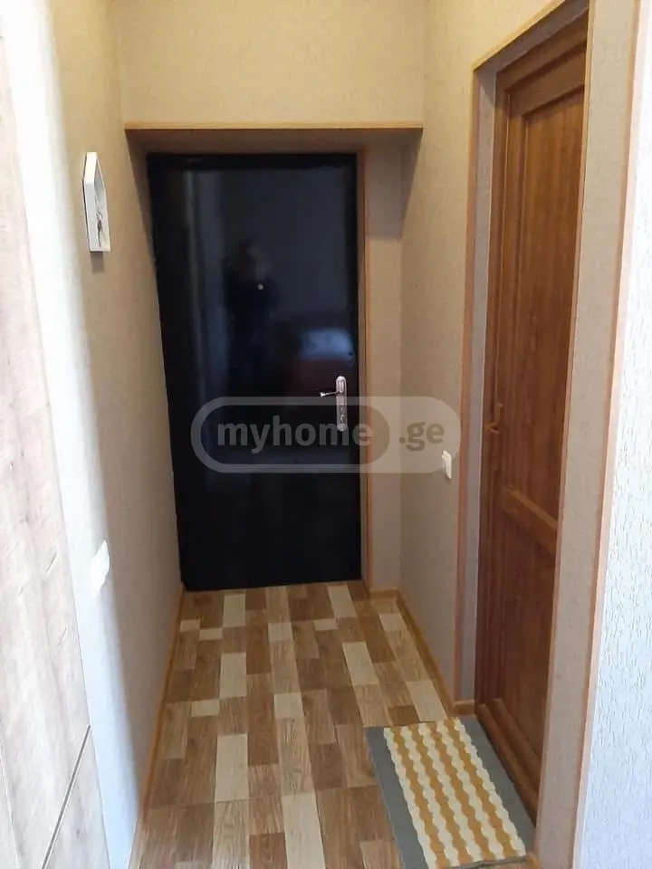 1 Room Apartment Daily Rent In Borjomi view 12