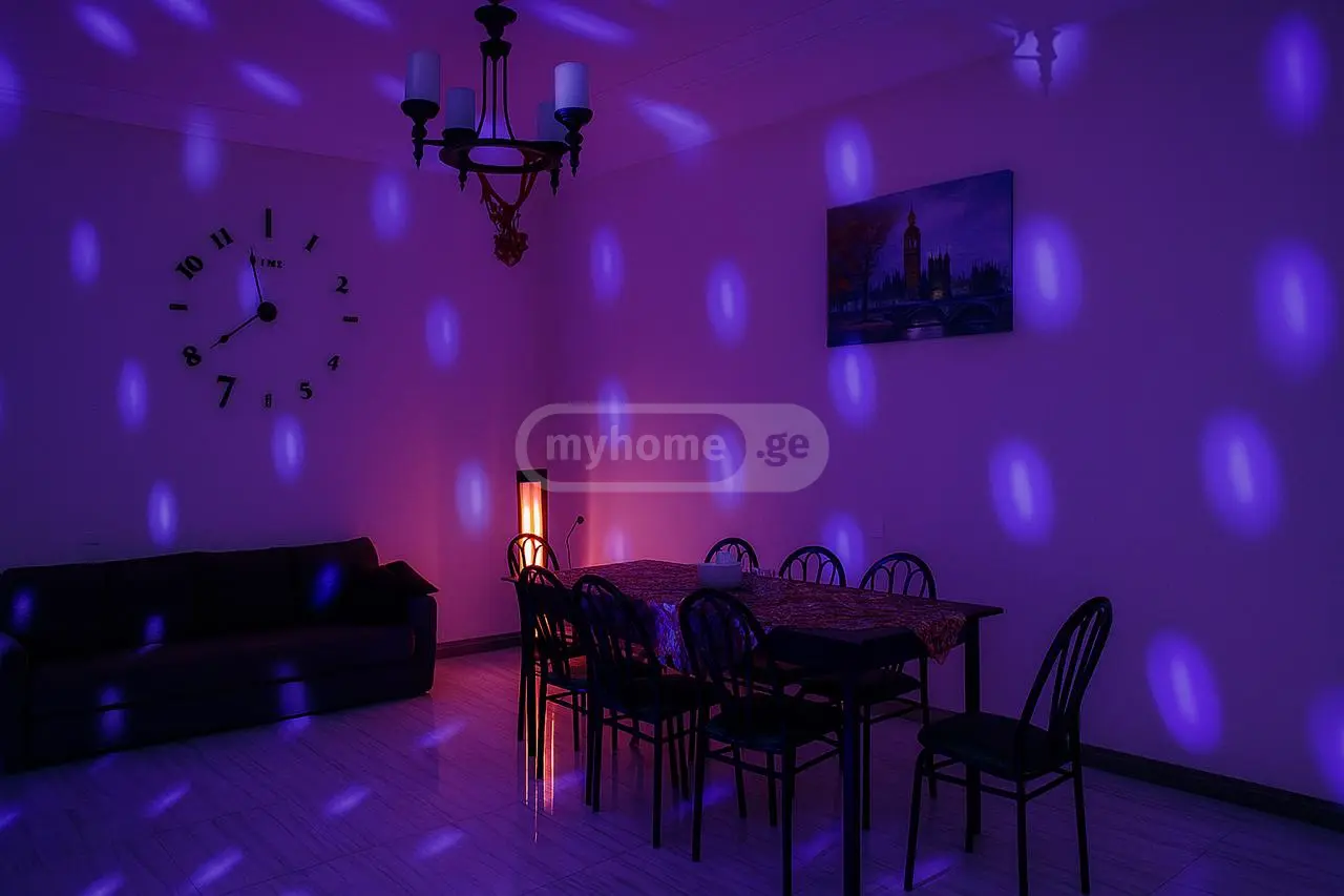 3 Room Country House Daily Rent In Samgori view 2