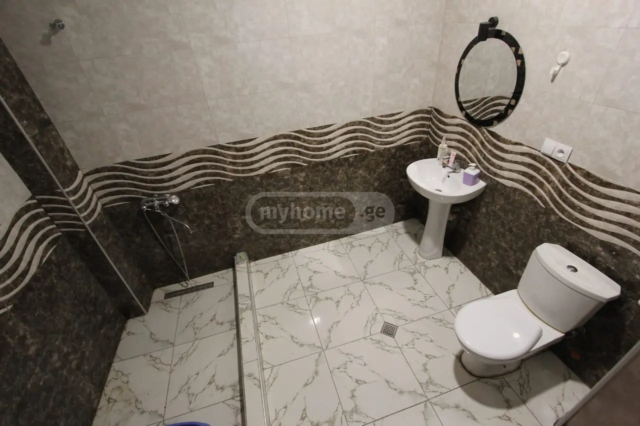 3 Room Country House Daily Rent In Samgori view 7